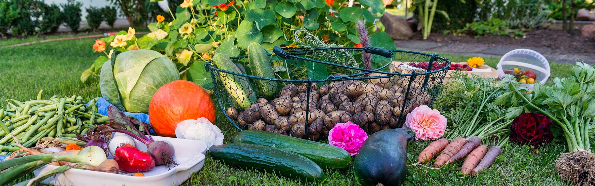 Vereinigung der Gartenfreunde 